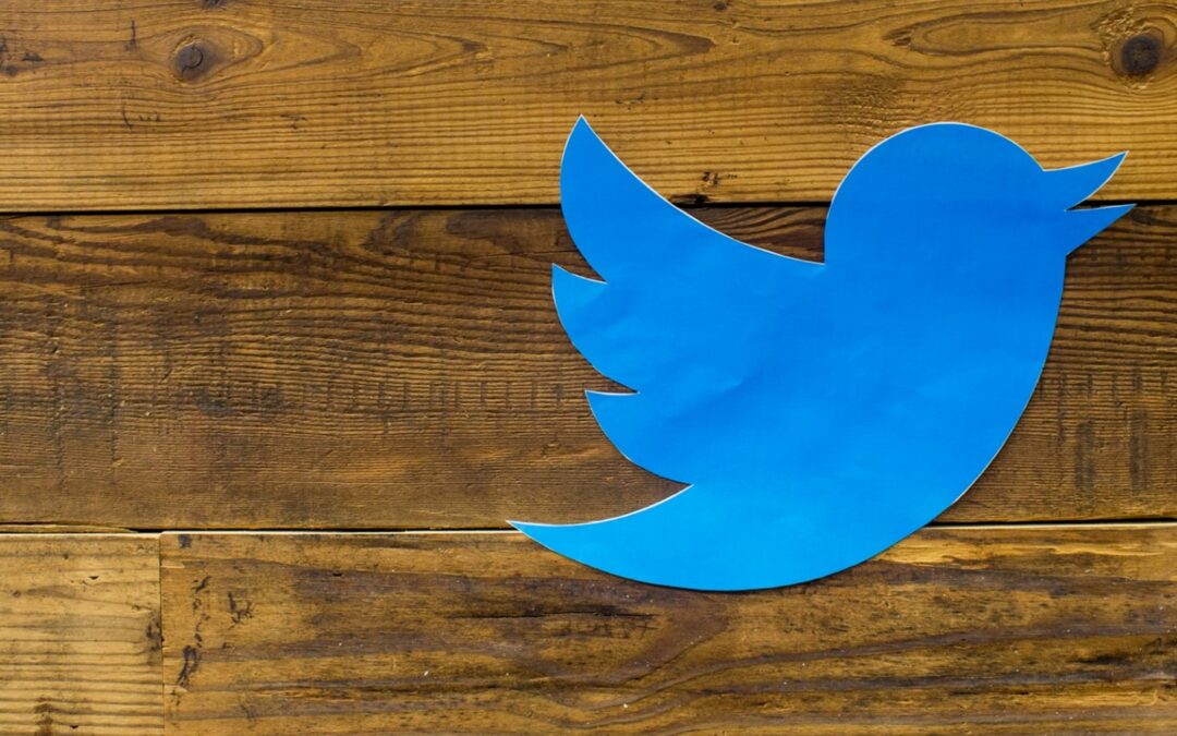 3 Things to Avoid in Your Business’ Twitter Bio